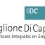 Boglione Di Capua